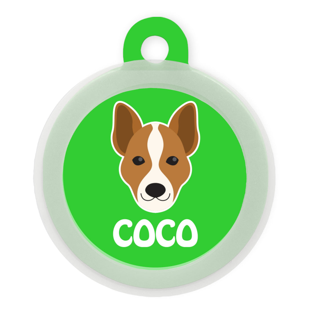 Basenji