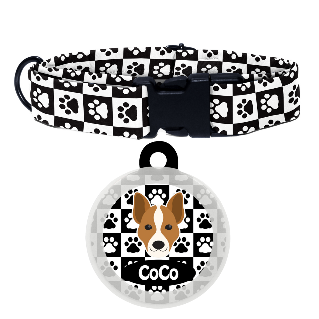 Basenji - Collar & Tag