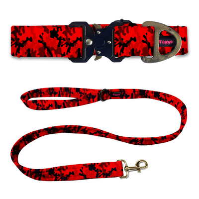 Battle Born Collar-Leash