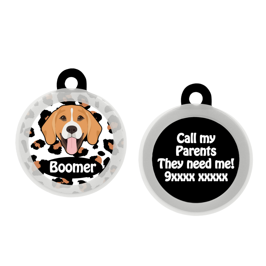 Beagle - Collar & Tag