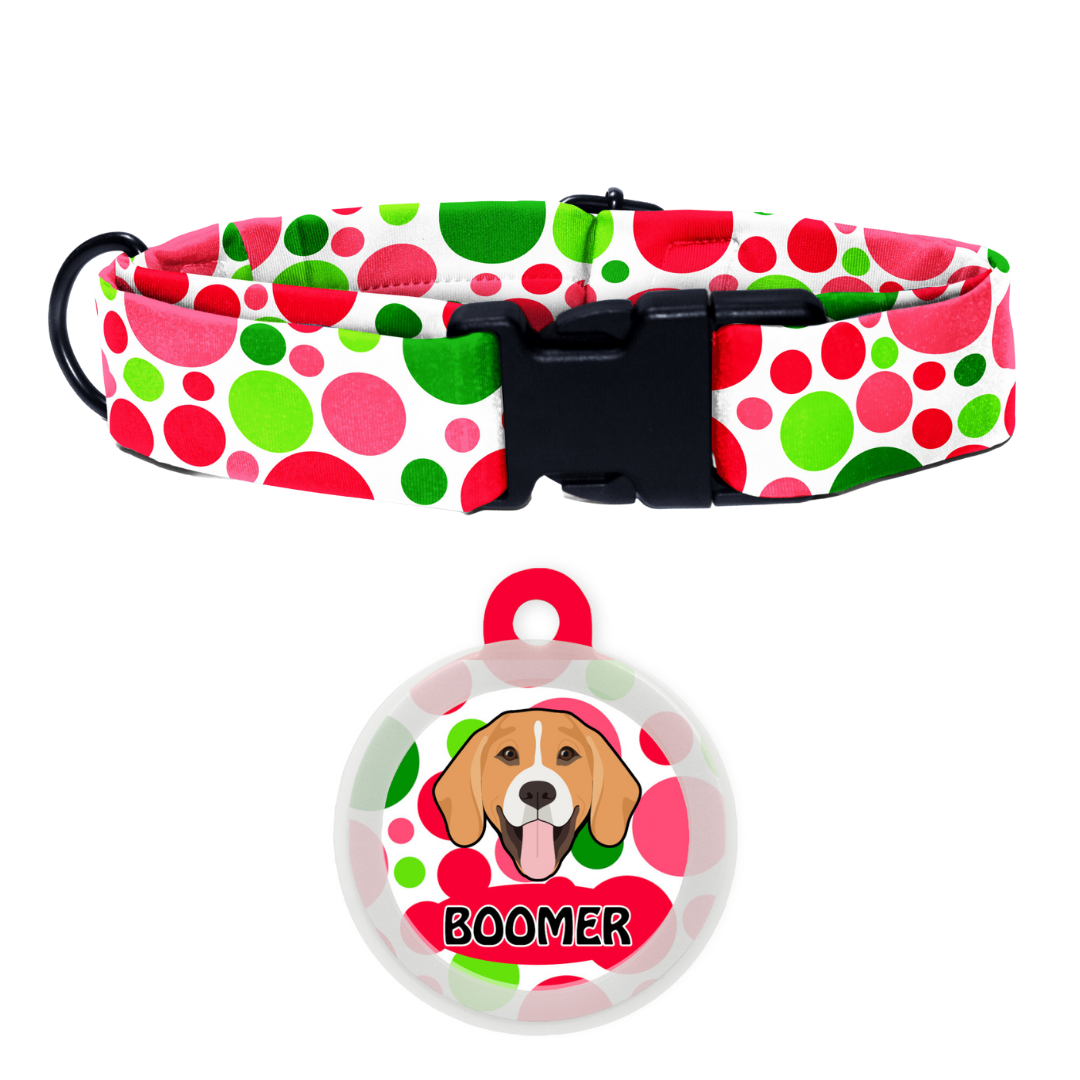 Beagle - Collar & Tag