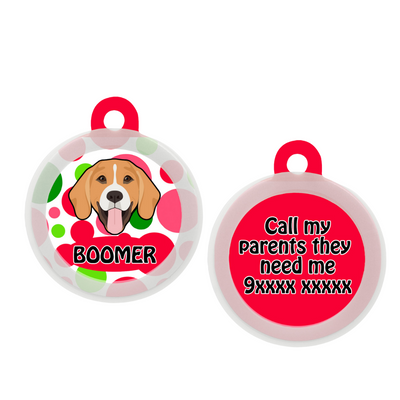 Beagle - Collar & Tag