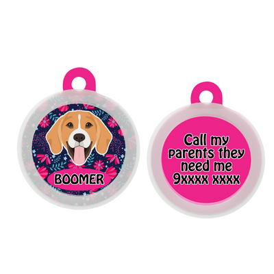 Beagle - Collar & Tag