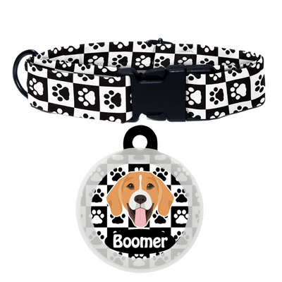 Beagle - Collar & Tag