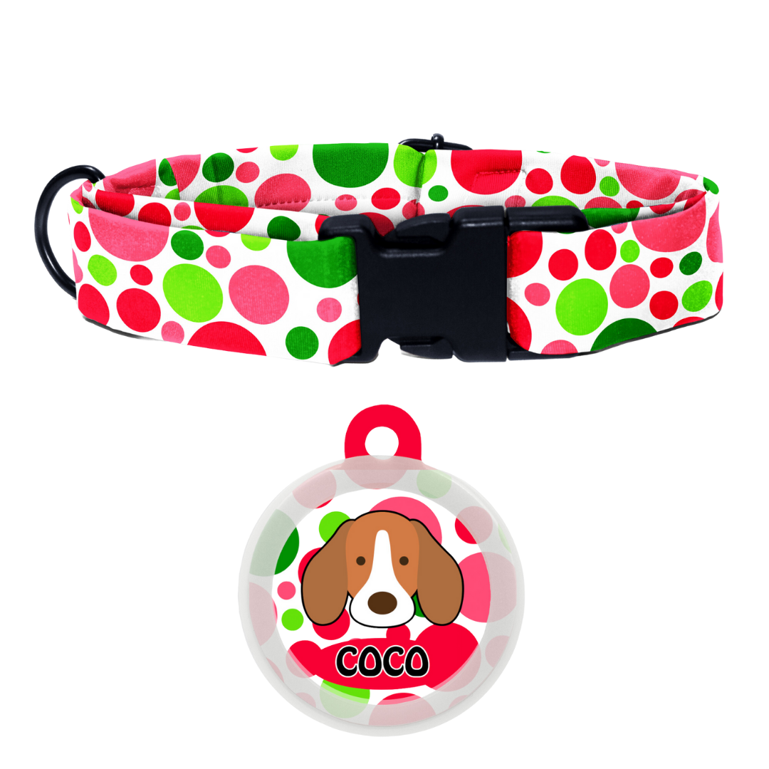 Beagle (Flaticon) - Collar & Tag