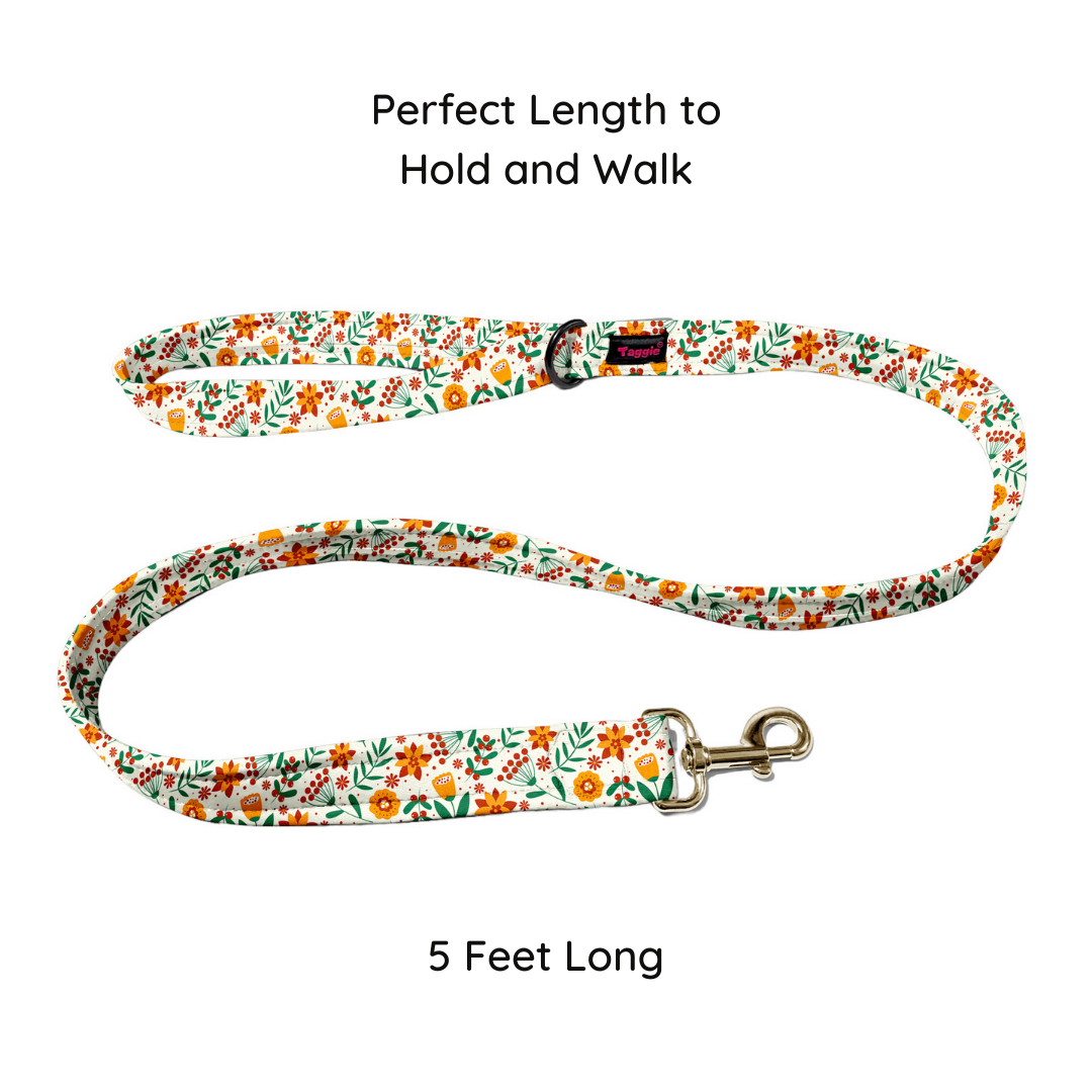 Blooming Bow Collar-Leash