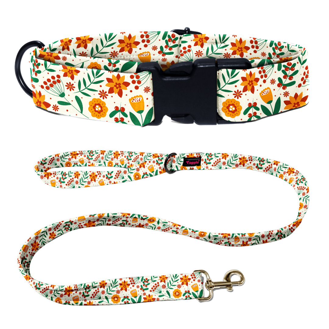 Blooming Bow Collar-Leash