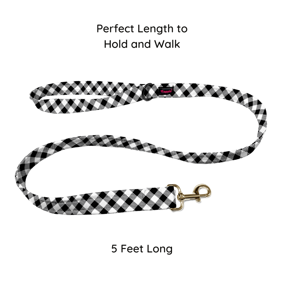 Bold & Boxed Leash