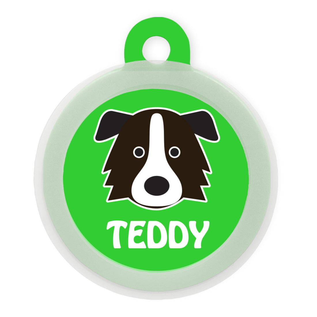 Border Collie