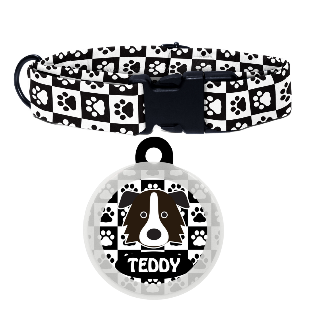 Border Collie - Collar & Tag