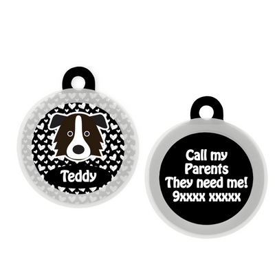 Border Collie - Collar & Tag