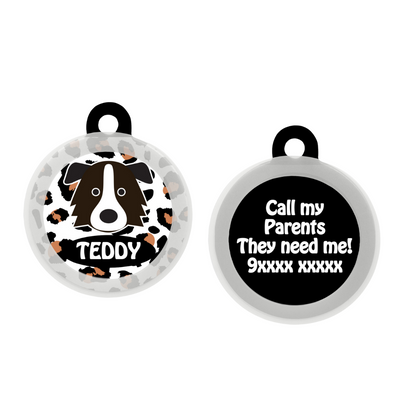 Border Collie - Collar & Tag