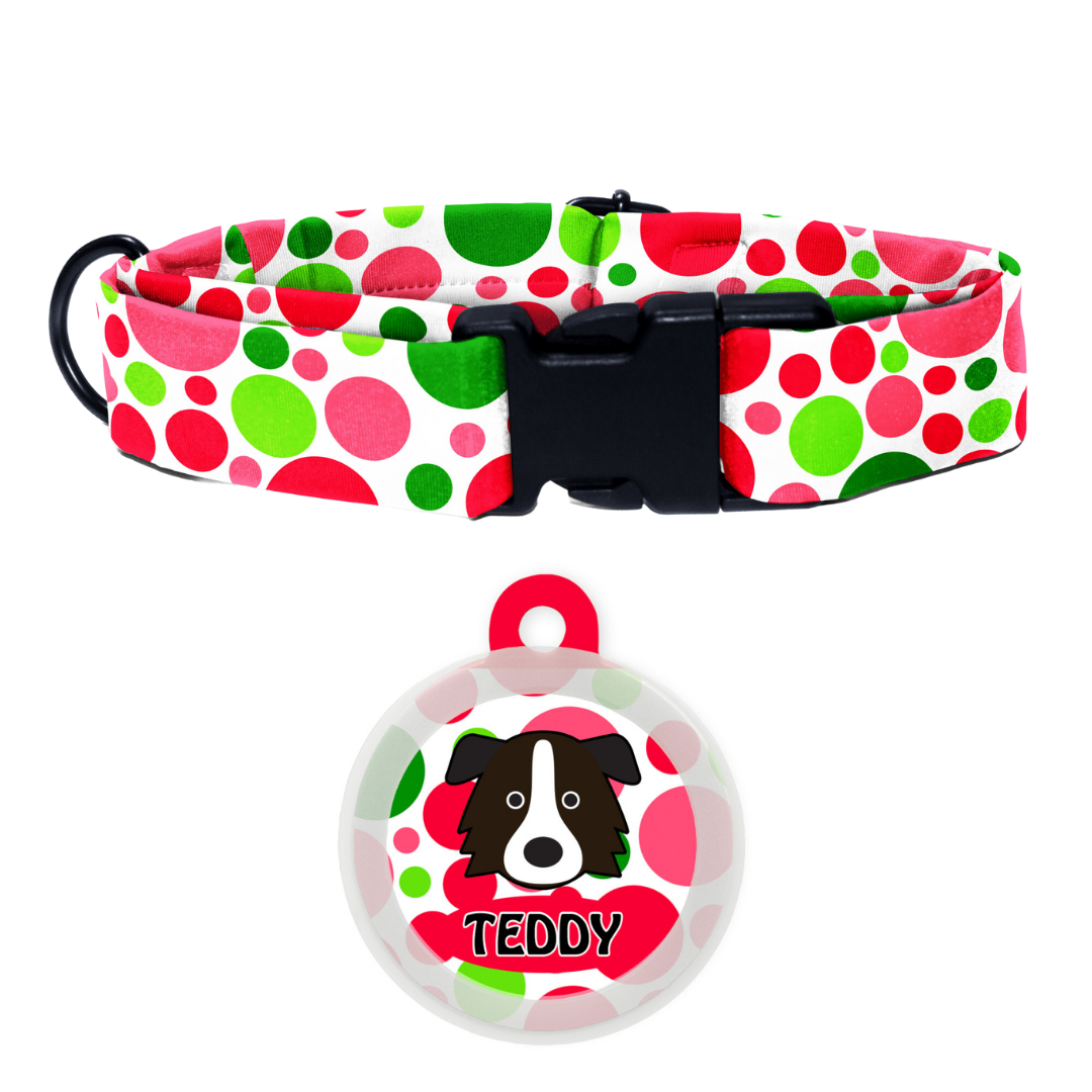 Border Collie - Collar & Tag