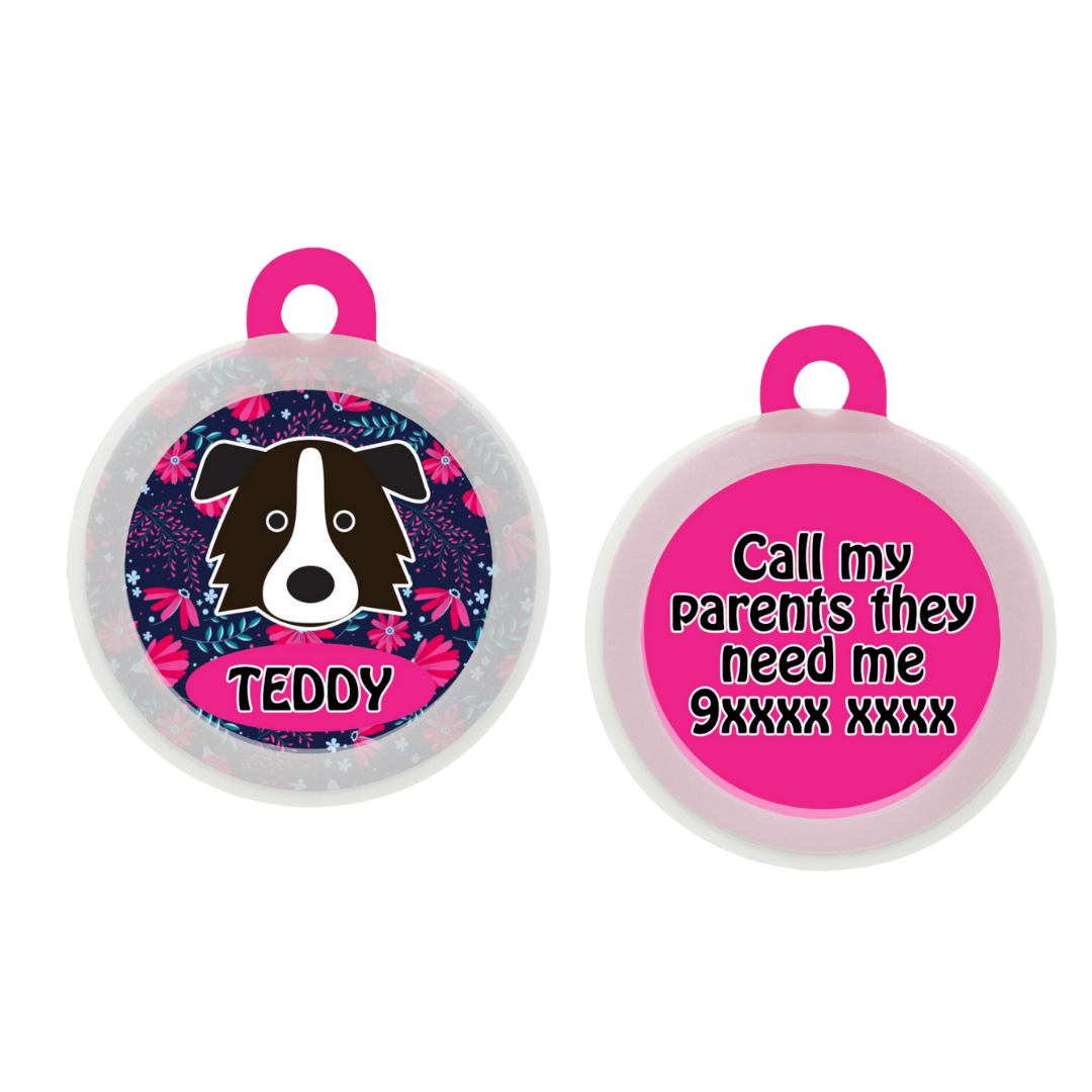 Border Collie - Collar & Tag