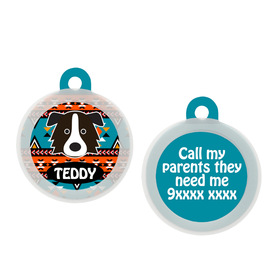 Border Collie - Collar & Tag