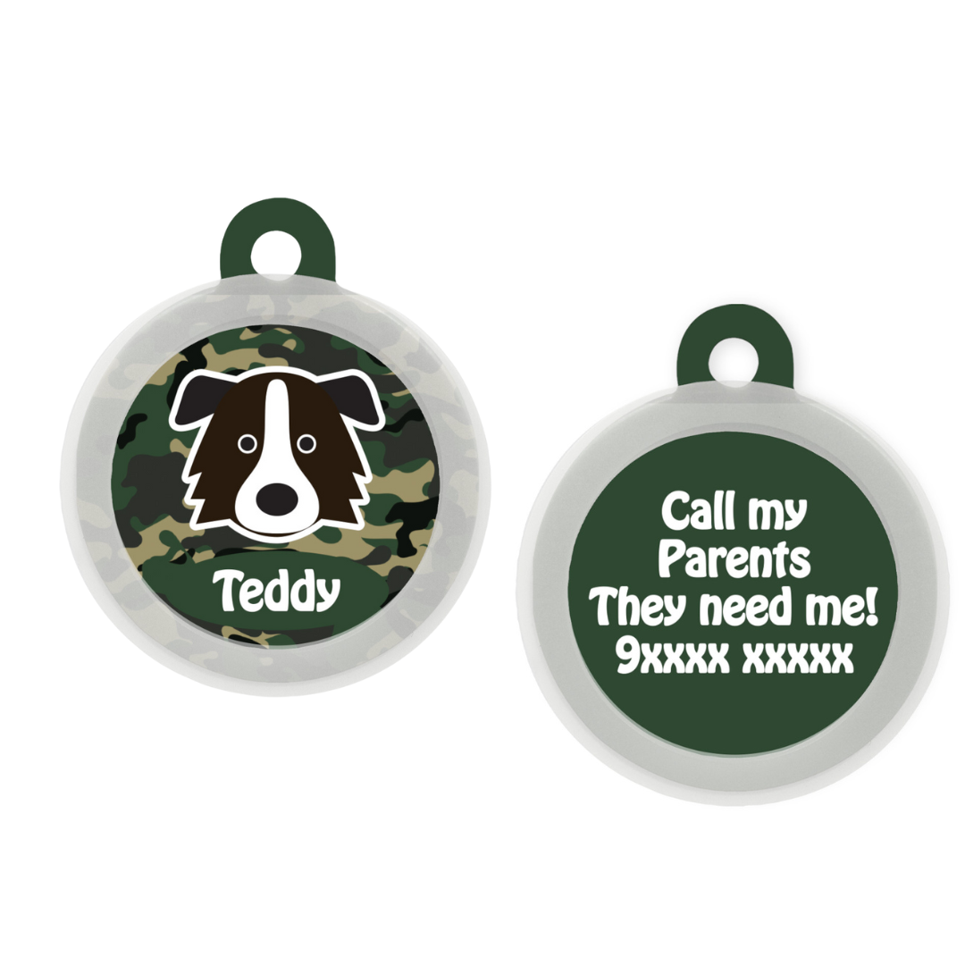 Border Collie - Collar & Tag