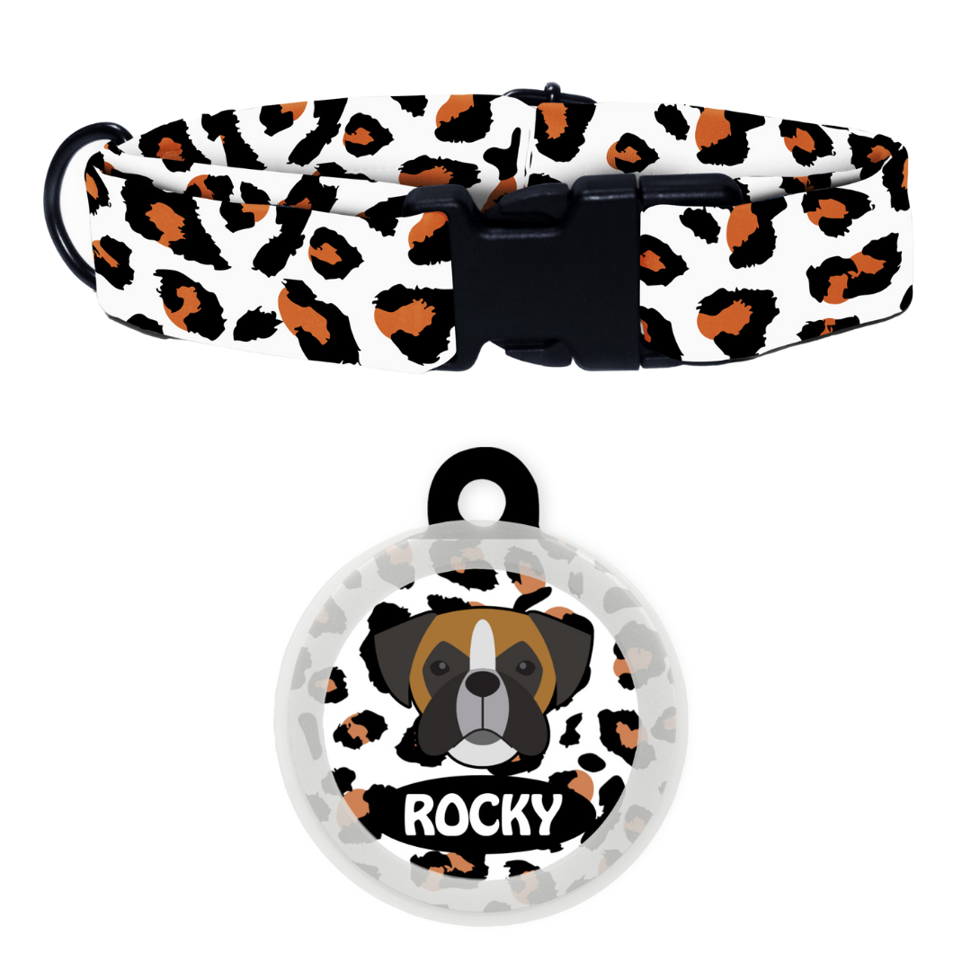 Boxer  - Collar & Tag