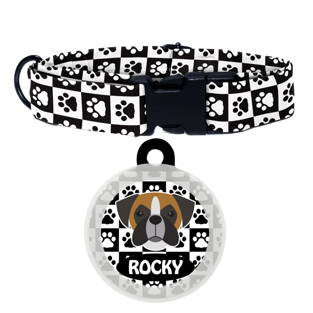 Boxer  - Collar & Tag