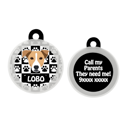 Indie BRW (ears down) - Collar & Tag