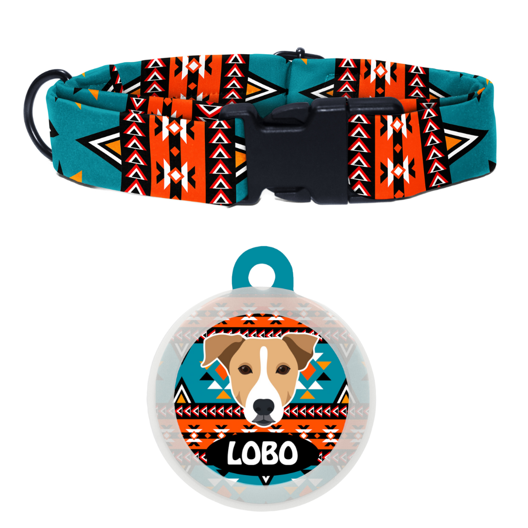 Indie BRW (ears down) - Collar & Tag