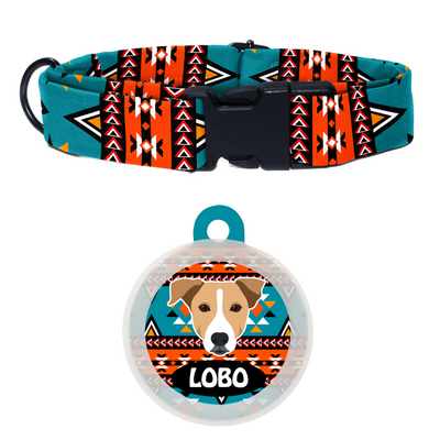 Indie BRW (ears down) - Collar & Tag