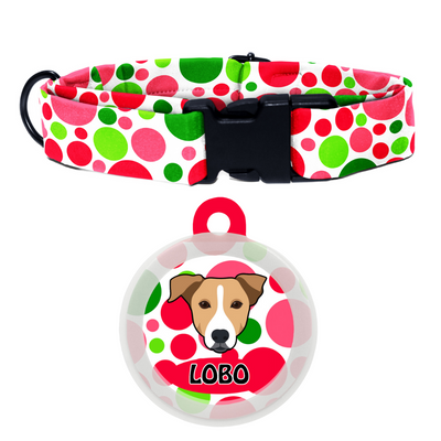 Indie BRW (ears down) - Collar & Tag