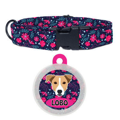 Indie BRW (ears down) - Collar & Tag