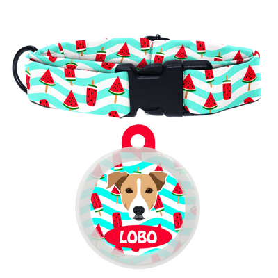 Indie BRW (ears down) - Collar & Tag