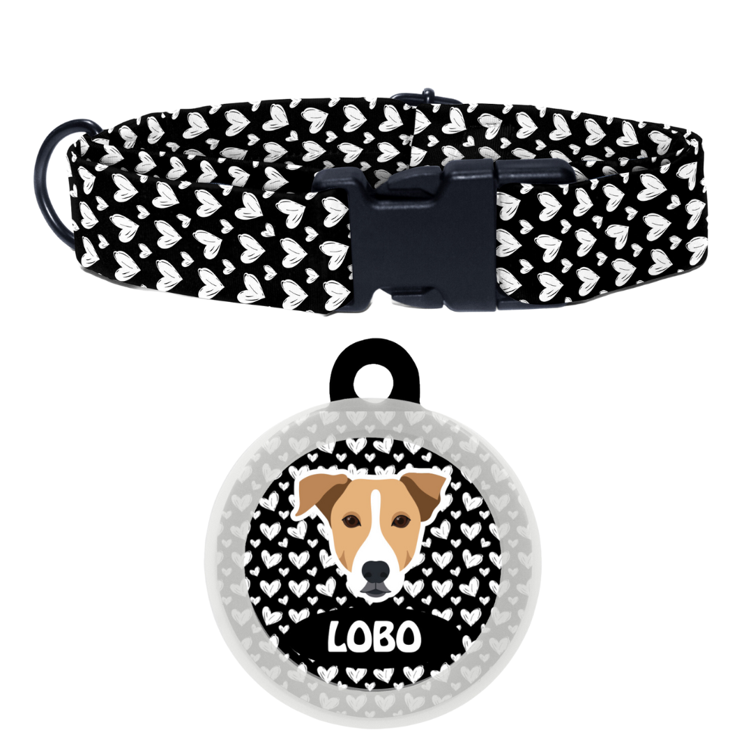 Indie BRW (ears down) - Collar & Tag