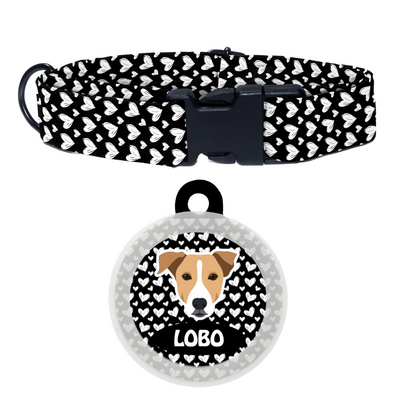Indie BRW (ears down) - Collar & Tag