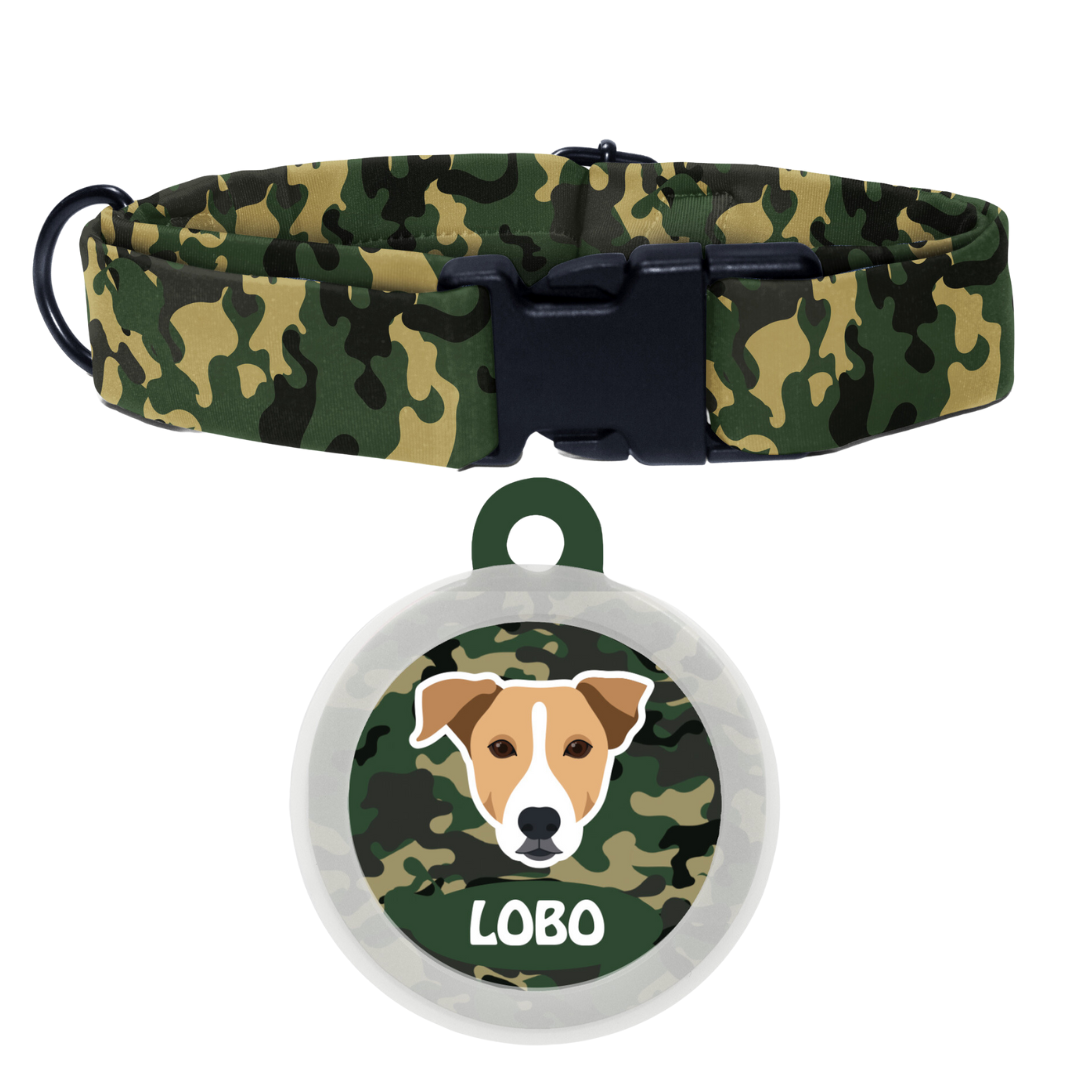 Indie BRW (ears down) - Collar & Tag