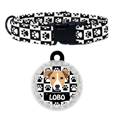 Indie BRW (ears down) - Collar & Tag