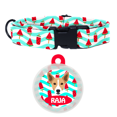 Indie BRW (ears up)  - Collar & Tag
