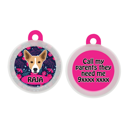 Indie BRW (ears up) - Collar & Tag