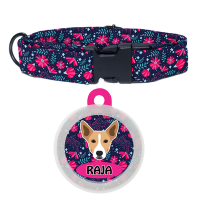Indie BRW (ears up) - Collar & Tag