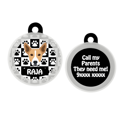 Indie BRW (ears up)  - Collar & Tag