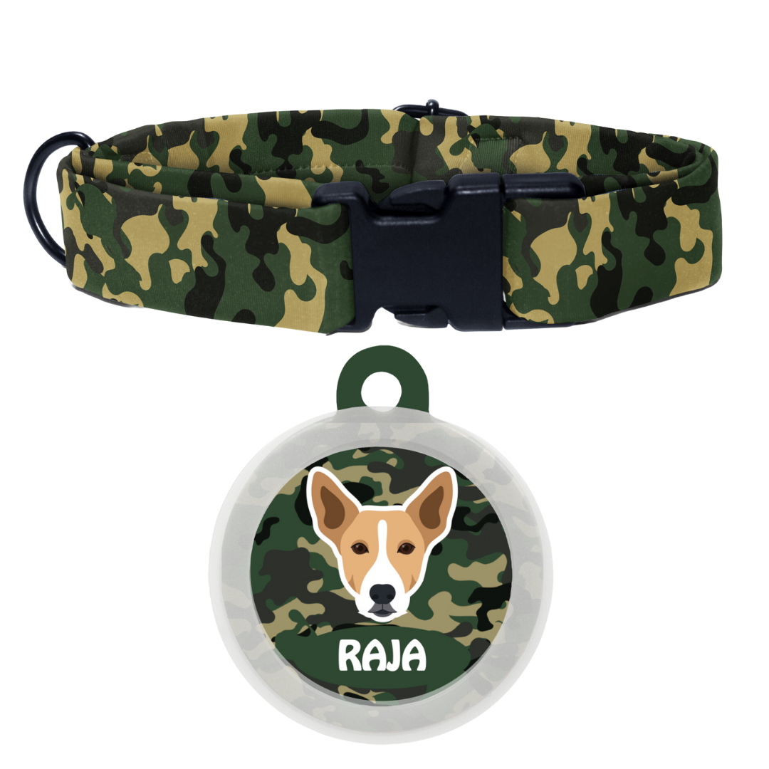 Indie BRW (ears up) - Collar & Tag