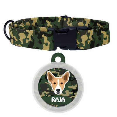 Indie BRW (ears up) - Collar & Tag