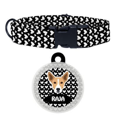 Indie BRW (ears up) - Collar & Tag