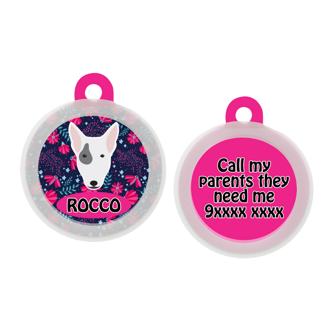 Bull Terrier  - Collar & Tag