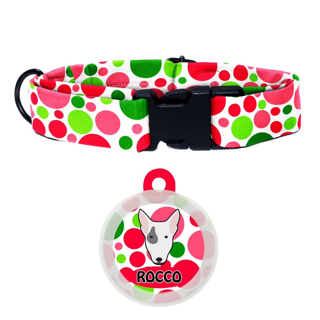 Bull Terrier  - Collar & Tag