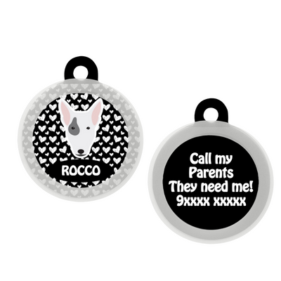 Bull Terrier  - Collar & Tag