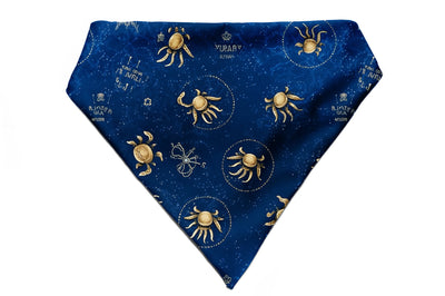 Cancer- Bandana