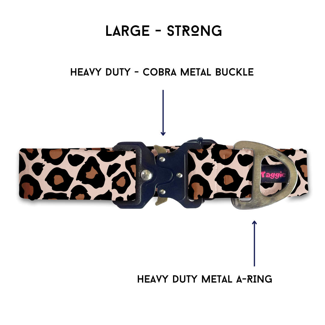 Cheetah Chic - Collar & Tag