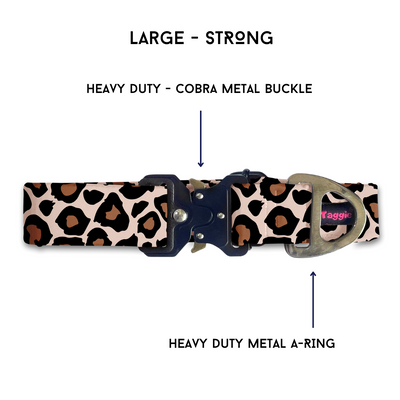 Cheetah Chic - Collar & Tag
