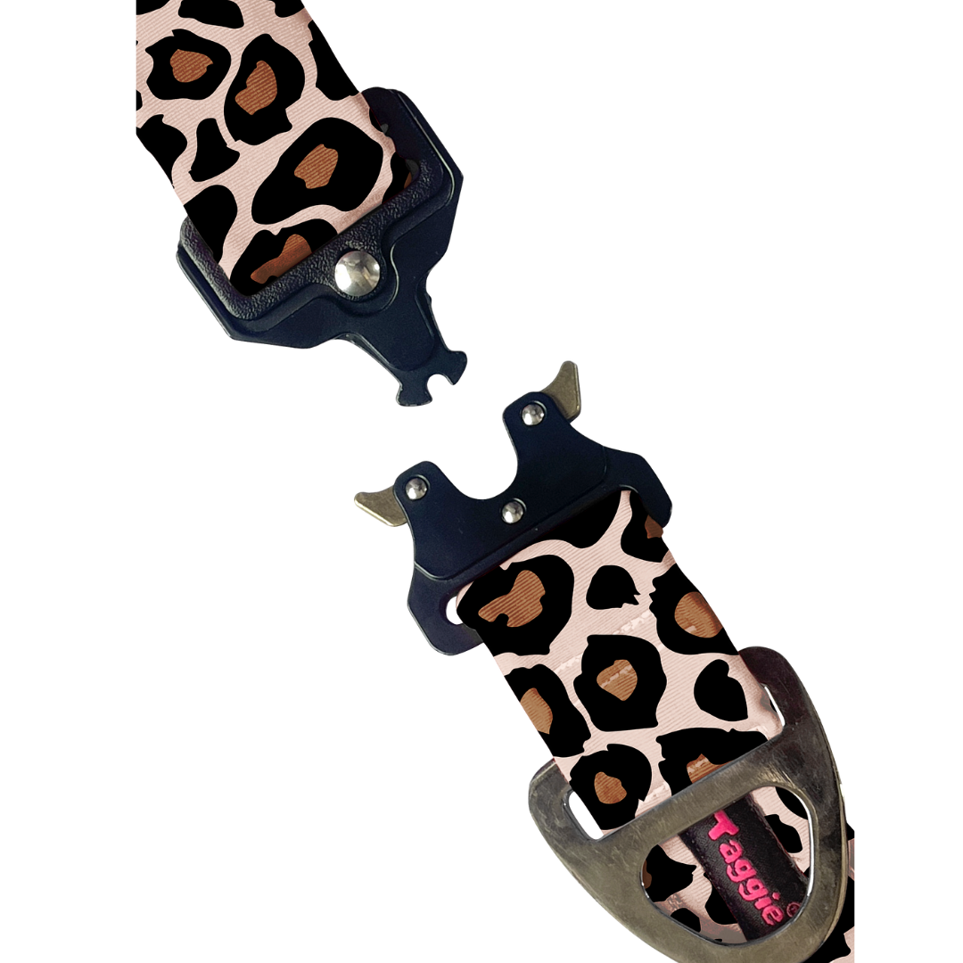 Cheetah Chic - Collar & Tag