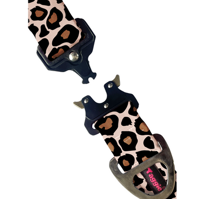Cheetah Chic - Collar & Tag