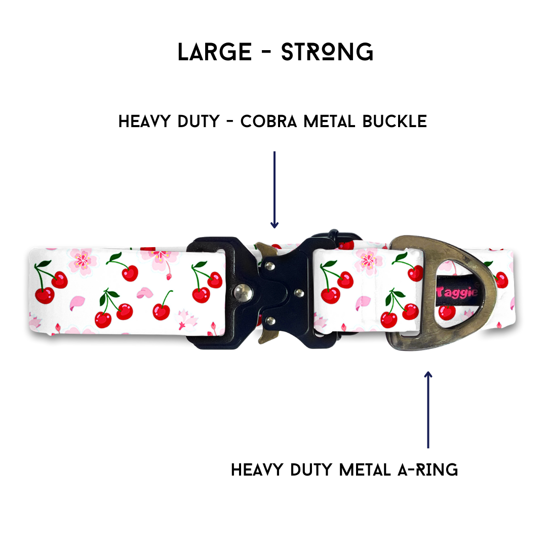 Cherry - Collar & Tag