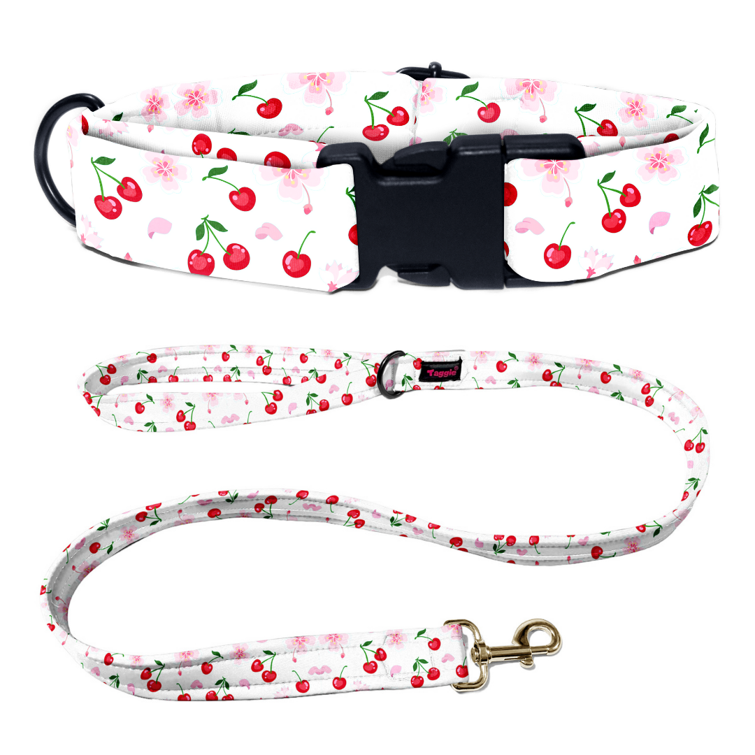 Cherry Collar-Leash