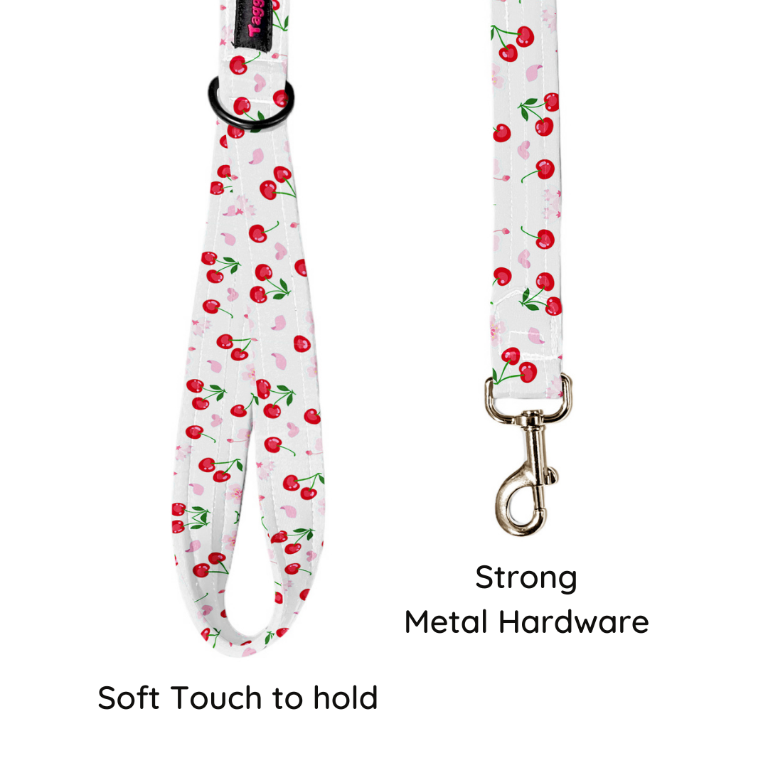 Cherry Collar-Leash